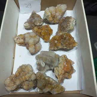 Citrine Spirit Quartz Crystals BS29 Amy Tauber