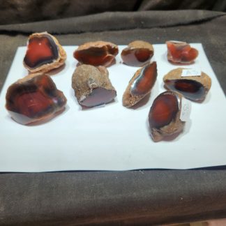 Sliced and polished Botswana Agate     Gail Kilmartin  (A1,A2,A3,A7,B2,C3,E5,E8,F5)