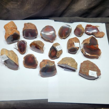 Sliced and Polished Agate from Botswana   Amy Tauber    (2Kgs)