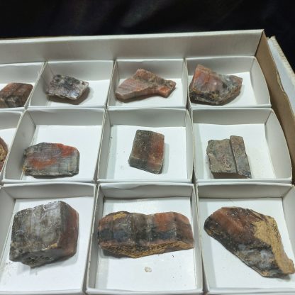 (WM04986) One Box Of 24 Red Banded Caliste Mineral Specimens - Image 4