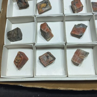 (WM04986) One Box Of 24 Red Banded Caliste Mineral Specimens - Image 6