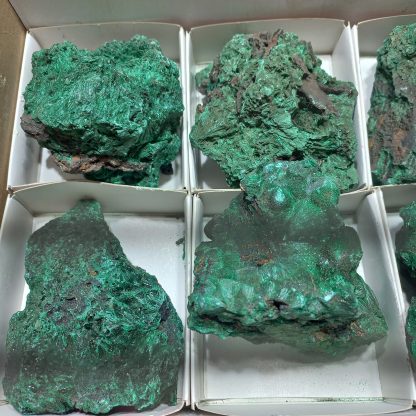(WM05015) One Box Of 6 Silky Malachite Mineral Specimens - Image 3
