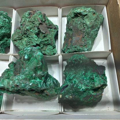 (WM05015) One Box Of 6 Silky Malachite Mineral Specimens - Image 4