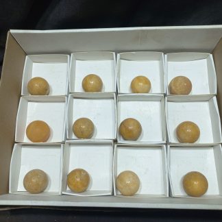 (WM04978) One Box If 12 Policed Yellow Caliste  Spheres