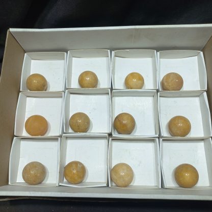 (WM04978) One Box If 12 Policed Yellow Caliste  Spheres