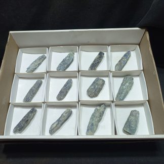 (WM05013) One Box Of 12 Kyanite Blades Mineral Specimens