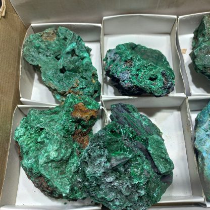 (WC05012) One Box Of 6 Silky Malachite Mineral Specimens - Image 3