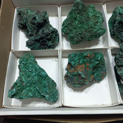 (WM05011) One Box Of 6 Silky Malachite Mineral Specimens - Image 3