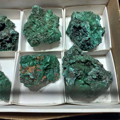 (WM05011) One Box Of 6 Silky Malachite Mineral Specimens - Image 4