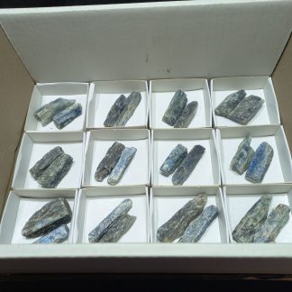 (WM05010) One Box Of 24 Kyanite Blades Mineral Specimens
