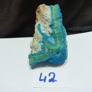 Botryoidal Chrysocolla Mineral Specimens Piece 42 Gail Kilmartin