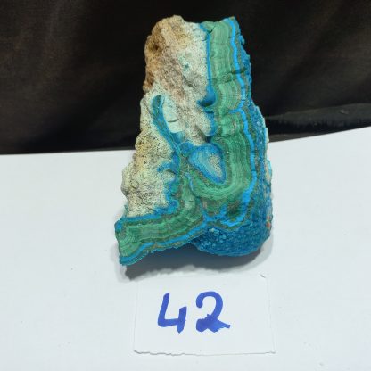 Botryoidal Chrysocolla Mineral Specimens Piece 42 Gail Kilmartin