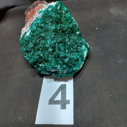 Dioptase Mineral Specimens Piece4 Michael Dignan