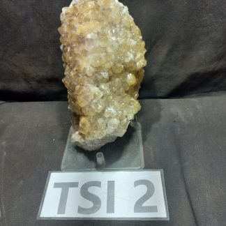 Ametrine Quartz Crystal From Orange TSI 2 River Gail Kilmartin