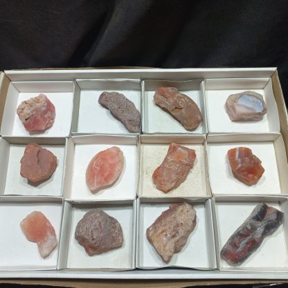 (WM0984) One Box Of 12 Agate From Botswana Mineral Specimens