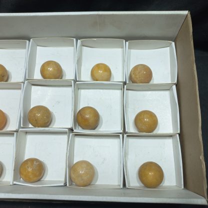 (WM04978) One Box If 12 Policed Yellow Caliste  Spheres - Image 4