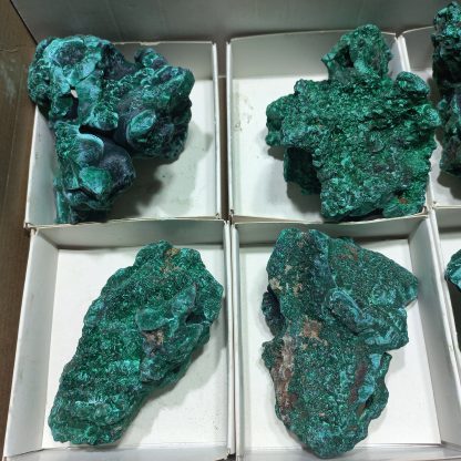 (WM04975) One Box Of 6 Silky Malachite Mineral Specimens From Congo - Image 3