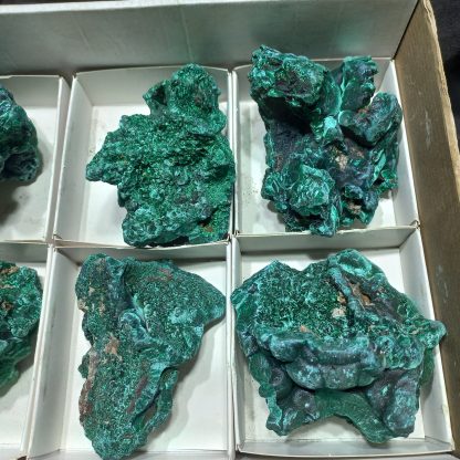 (WM04975) One Box Of 6 Silky Malachite Mineral Specimens From Congo - Image 4