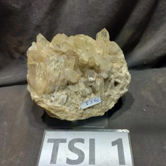 Natural Citrine Quartz Cluster From Congo TS1 Gail Kilmartin