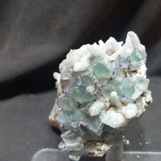 Leopard Fluorite Mineral Specimens Congratulation Terry Landrum Piece 23 Monday Show