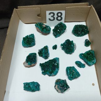 Dioptase Specimens From Congo BS38 Alli Bolla