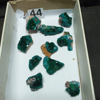 Dioptase Specimens From Congo BS44 Alli Bolla
