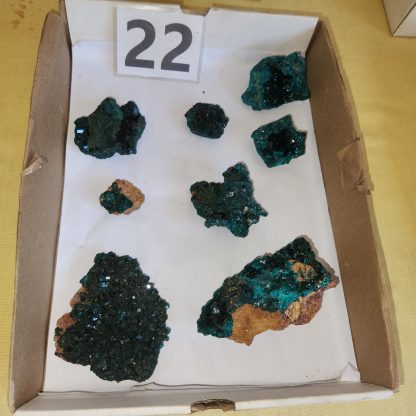 Dioptase from Congo   Michael Brodhagen