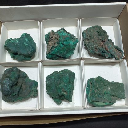 (WM05008) One Box Of 6 Botryoidal Malachite Mineral Specimens