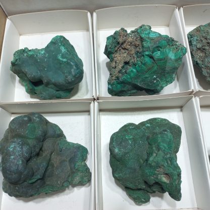 (WM05008) One Box Of 6 Botryoidal Malachite Mineral Specimens - Image 3