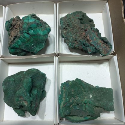 (WM05008) One Box Of 6 Botryoidal Malachite Mineral Specimens - Image 4