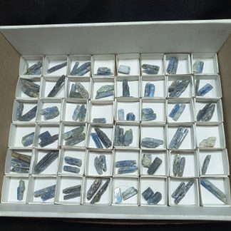 (WM05004) One Box Of 83 Kyanite Blades Mineral Specimens