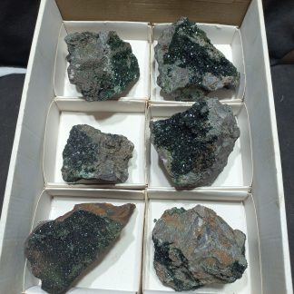 (WM05001) One Box Of 6 Libethenite Mineral Specimens From Congo