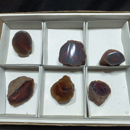 (WM04999) One Box Of 6 Botswana Agate Policed On One Side - Image 2