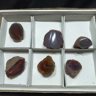 (WM04999) One Box Of 6 Botswana Agate Policed On One Side