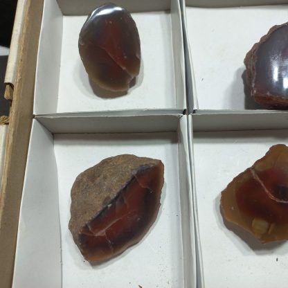 (WM04999) One Box Of 6 Botswana Agate Policed On One Side - Image 3