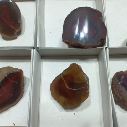 (WM04999) One Box Of 6 Botswana Agate Policed On One Side - Image 4