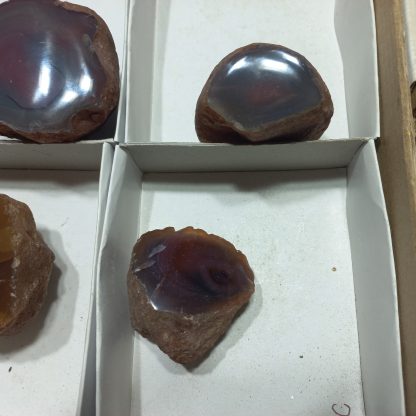 (WM04999) One Box Of 6 Botswana Agate Policed On One Side - Image 5