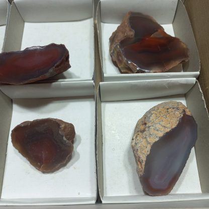 (WM04997) One Box Of 6 Botswana Agate Policed On One Side - Image 4