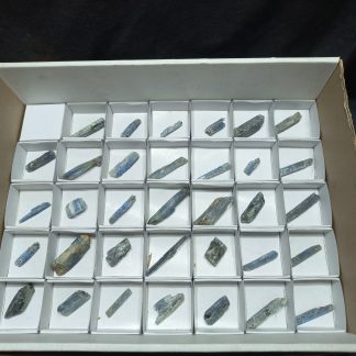 (WM04994) One Box Of 34 Kyanite Blades Mineral Specimens