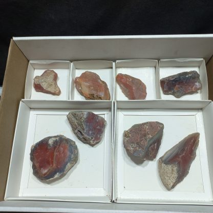 (WM04992) One Box Of 8  Unwork  Agats From Botswana - Image 2