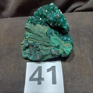 Dioptase Specimens Piece 41 Terry Landrum