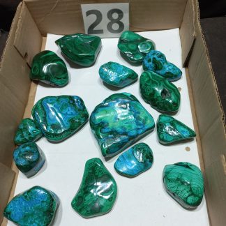 Polished Chrysocolla/Malachite Mineral Specimens Jennifer Sofes