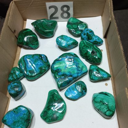 Polished Chrysocolla/Malachite Mineral Specimens Jennifer Sofes