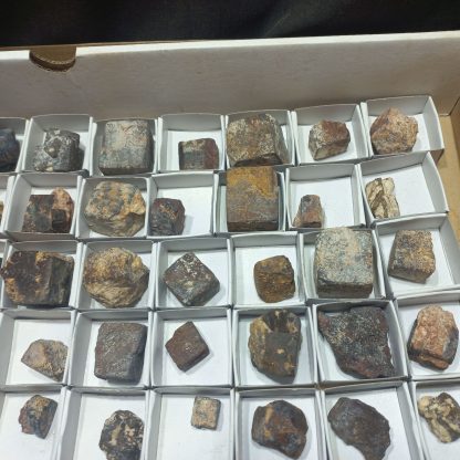 (WM05030) One Box Of 88 Devil's Dice Mineral Specimens From Northern Cape - Image 4