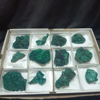 (WM05024) One Box Of 12 Silky Malachite Mineral Specimens From Congo