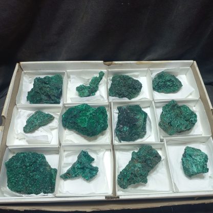 (WM05024) One Box Of 12 Silky Malachite Mineral Specimens From Congo