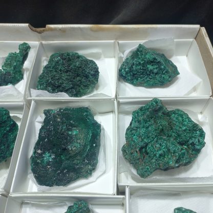(WM05024) One Box Of 12 Silky Malachite Mineral Specimens From Congo - Image 4