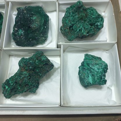 (WM05024) One Box Of 12 Silky Malachite Mineral Specimens From Congo - Image 5