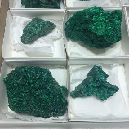 (WM05024) One Box Of 12 Silky Malachite Mineral Specimens From Congo - Image 6