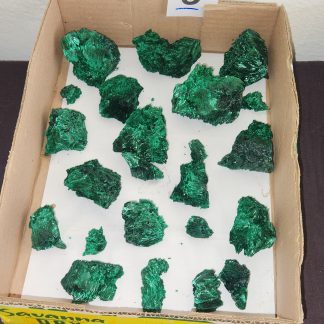 Silky Malachite from Congo     Amy Simon